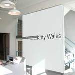 Aib-wales-5