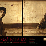 Aib-gonzalez-palma-11
