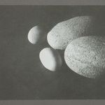 Mccusker-misc-0005